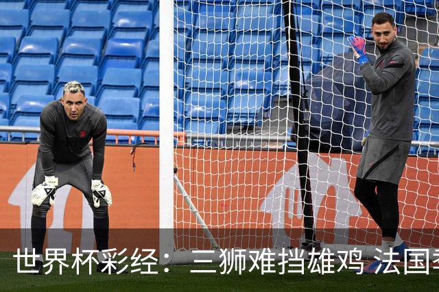 世界杯彩经：三狮难挡雄鸡 法国季军收官