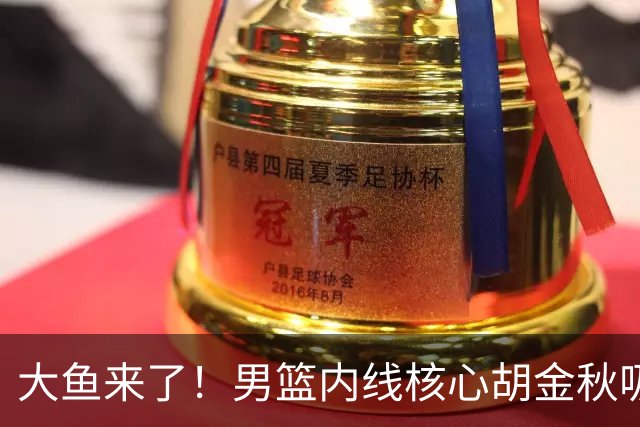 大鱼来了！男篮内线核心胡金秋吸引多队报价，广东队可能放走焦泊乔？