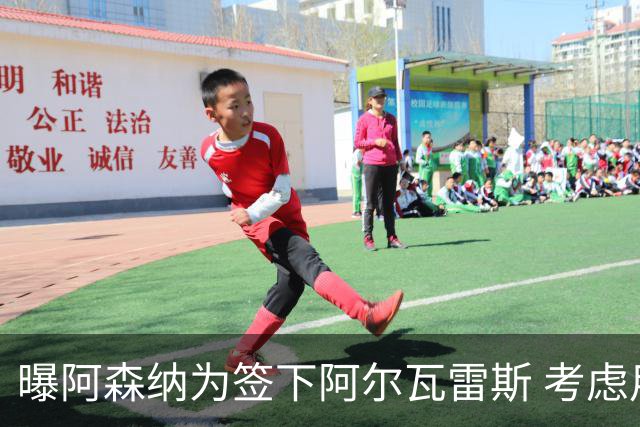 曝阿森纳为签下阿尔瓦雷斯 考虑用约克雷斯做交换筹码