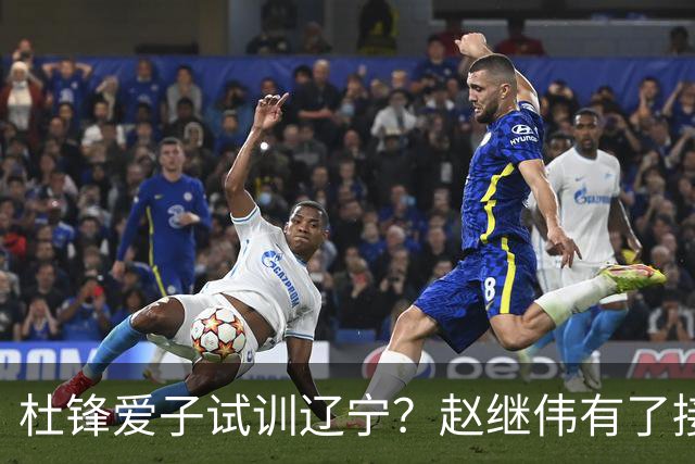 杜锋爱子试训辽宁？赵继伟有了接班人乐坏辽蜜 结果亲妈辟谣了