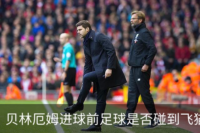 贝林厄姆进球前足球是否碰到飞猫？克拉滕伯格解析争议瞬间